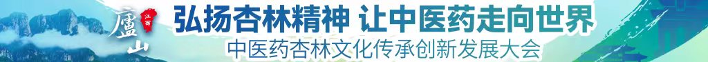 www日本婷婷中医药杏林文化传承创新发展大会